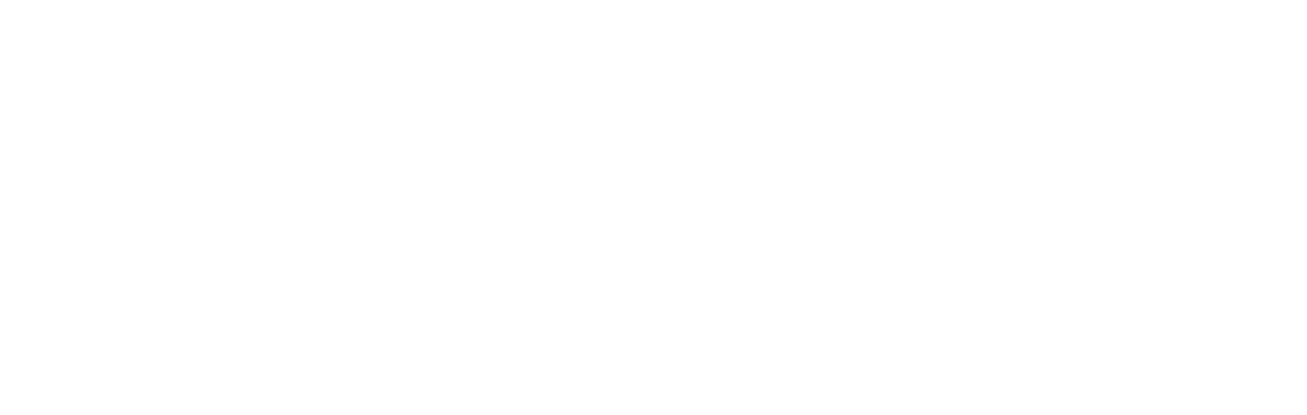 Solipsis logo wit Solipsis